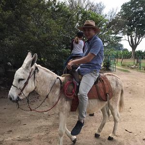 Meet your Posher, Meng